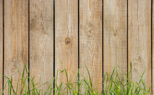 Choosing the Right Fencing for Your Sunshine Coast Home